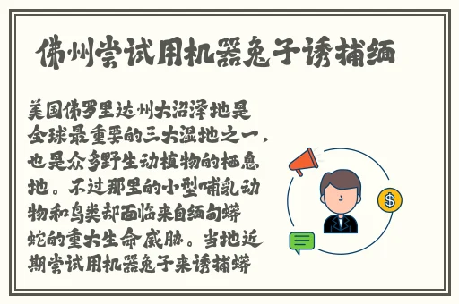 天堂2019在线线观看